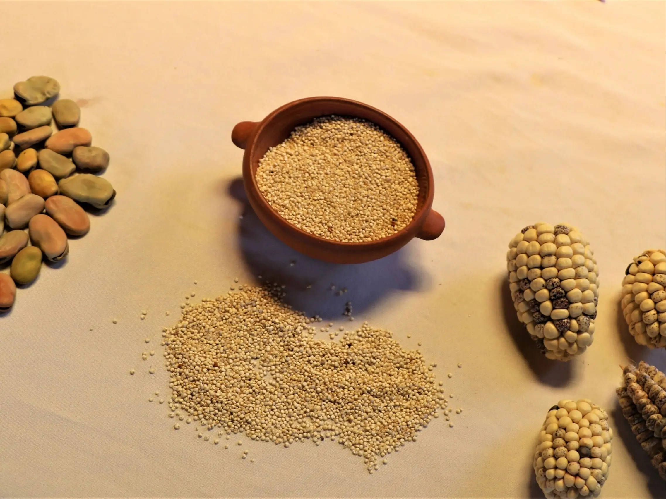 Taquile Lodge Agricultura