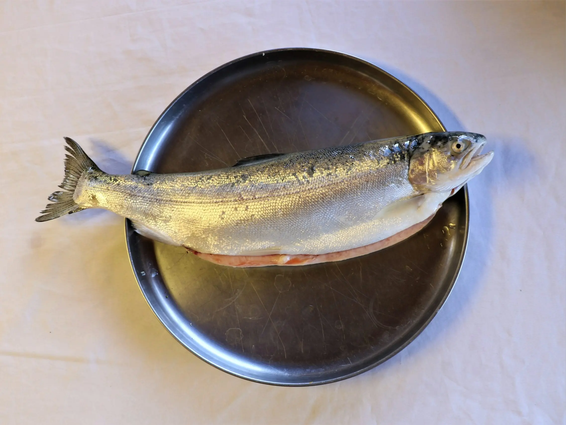 Taquile Lodge trucha almuerzo